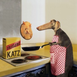 Smaženice.jpg