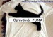 Puma.jpg
